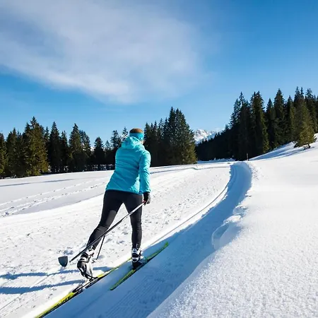 In Unterwirts Almhuette Auf Der Winklmoosalm