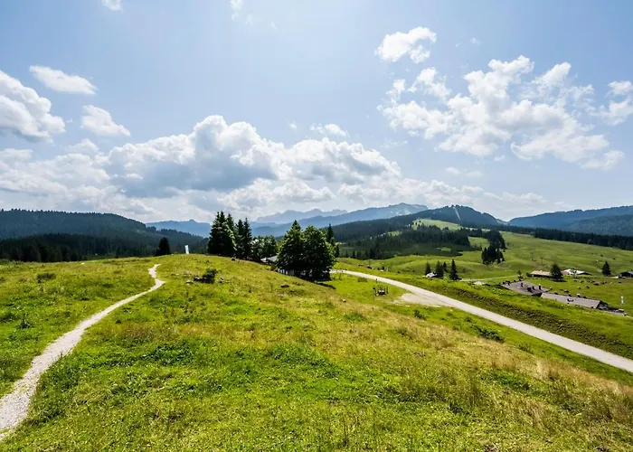 Appartement In Unterwirts Almhuette Auf Der Winklmoosalm *